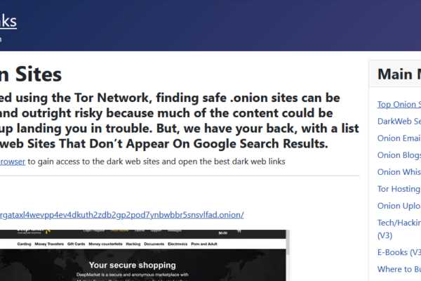 Screenshot of Dark Web wiki . Darkweb website